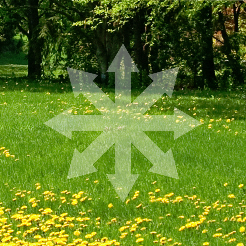 Symbol Of Chaos