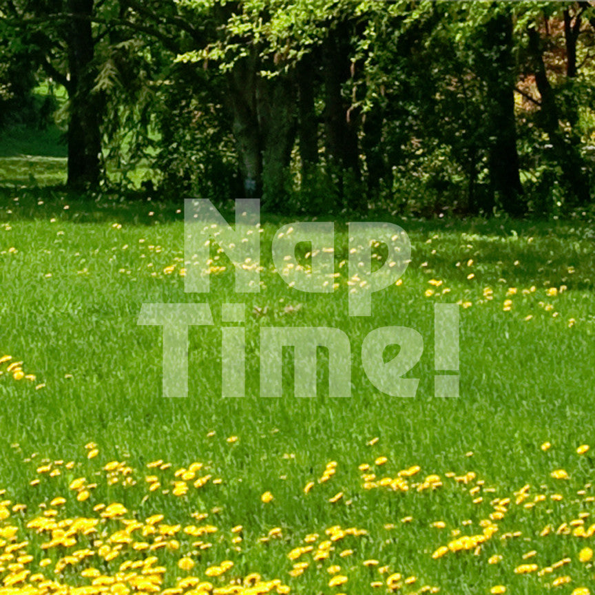 Nap Time