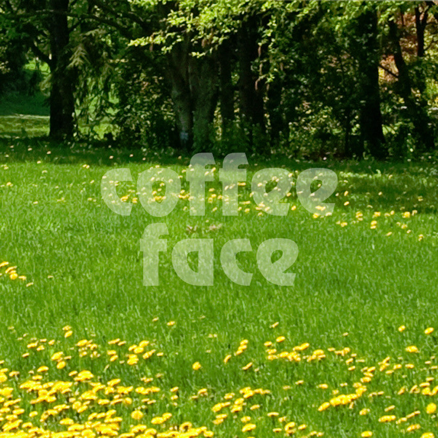 Coffee Face Text