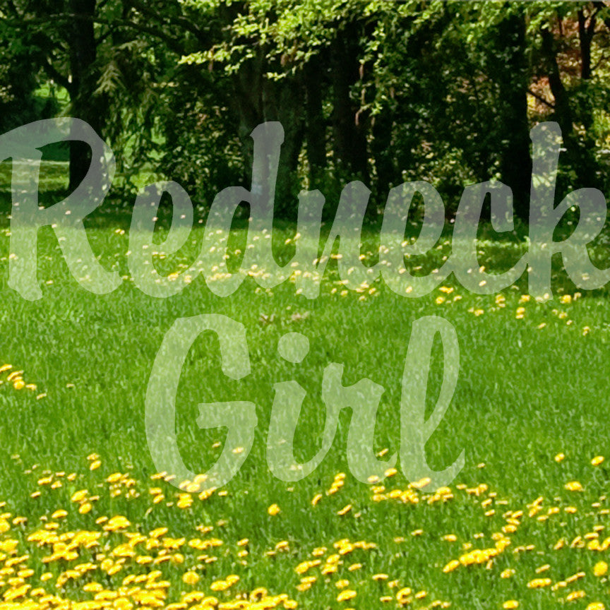 Redneck Girl