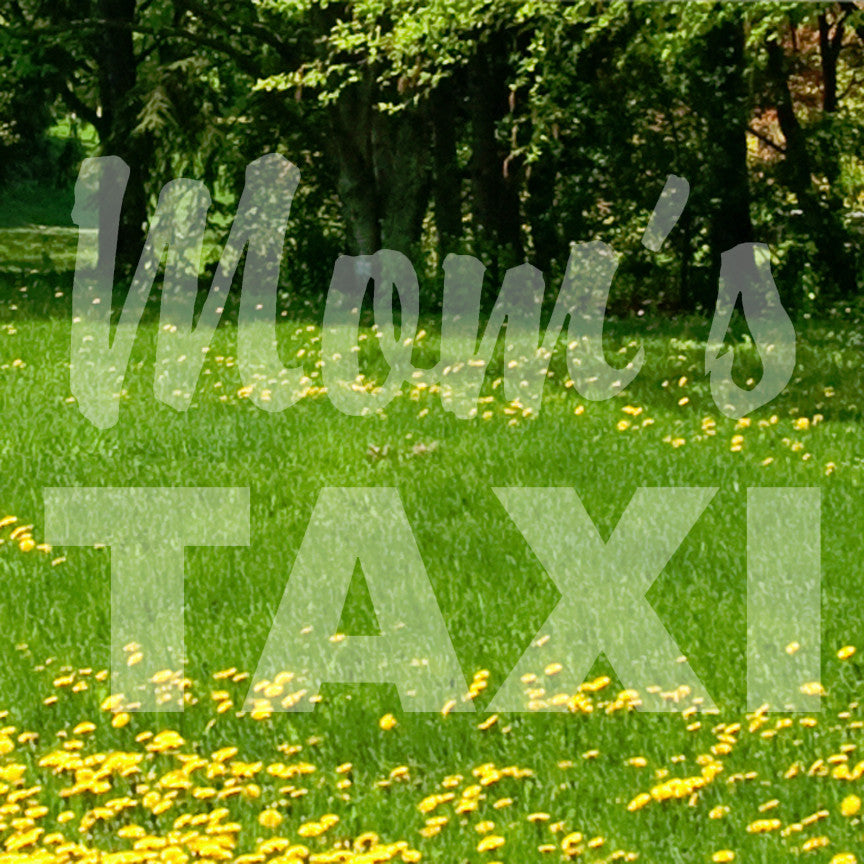 Mom Taxi