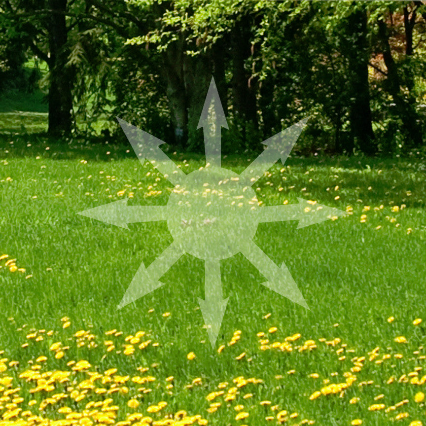 Chaos Symbol