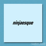 Ninjaesque