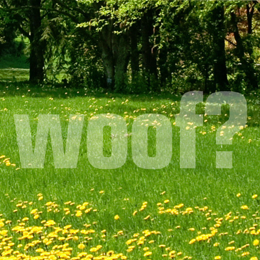 Woof