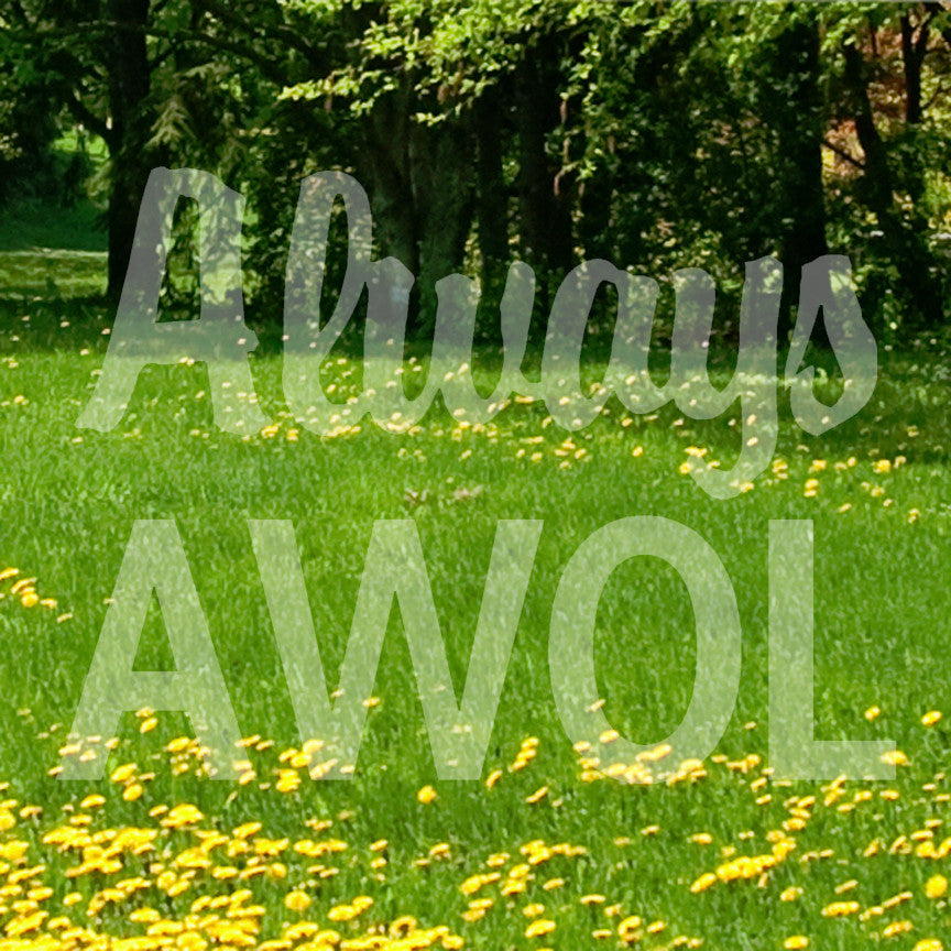 Always AWOL