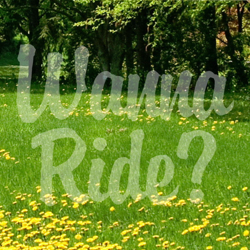 Wanna Ride ?