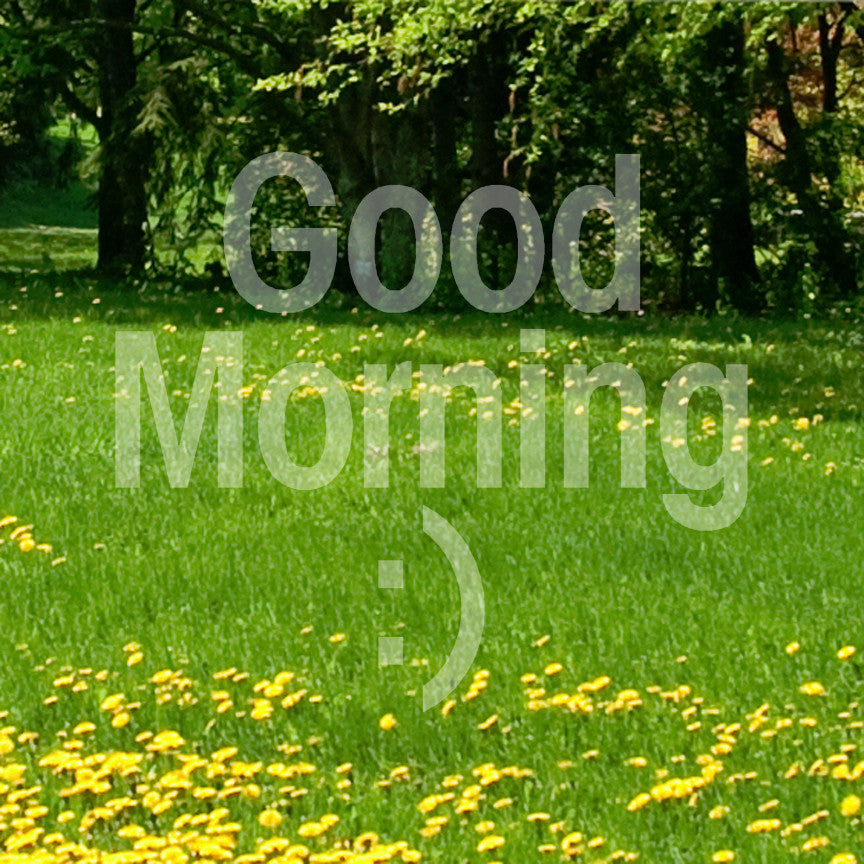Good Morning