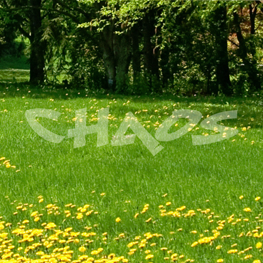 Chaos Text