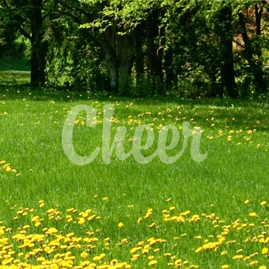 Cheer Text