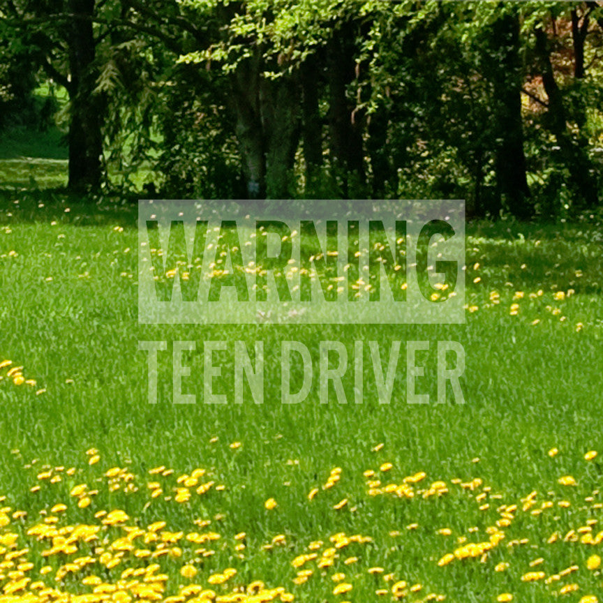 Warning Teen Driver