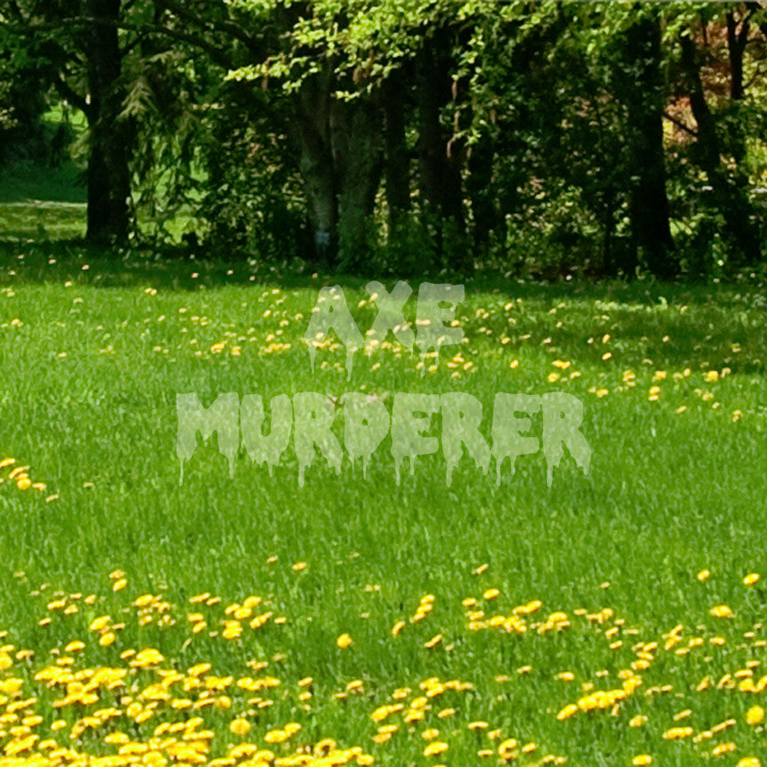 Axe Murderer