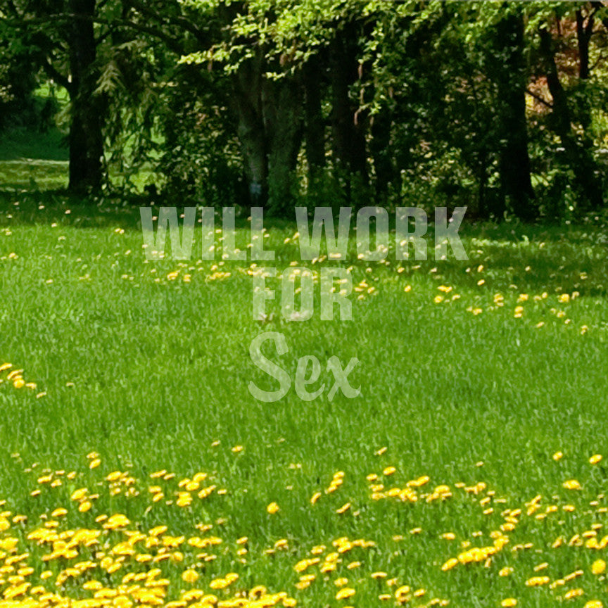 Will Work For Sex