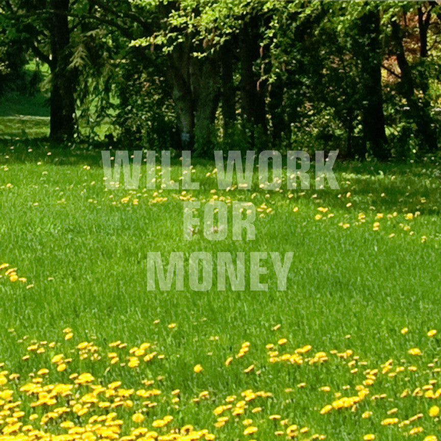 Will Work For Money