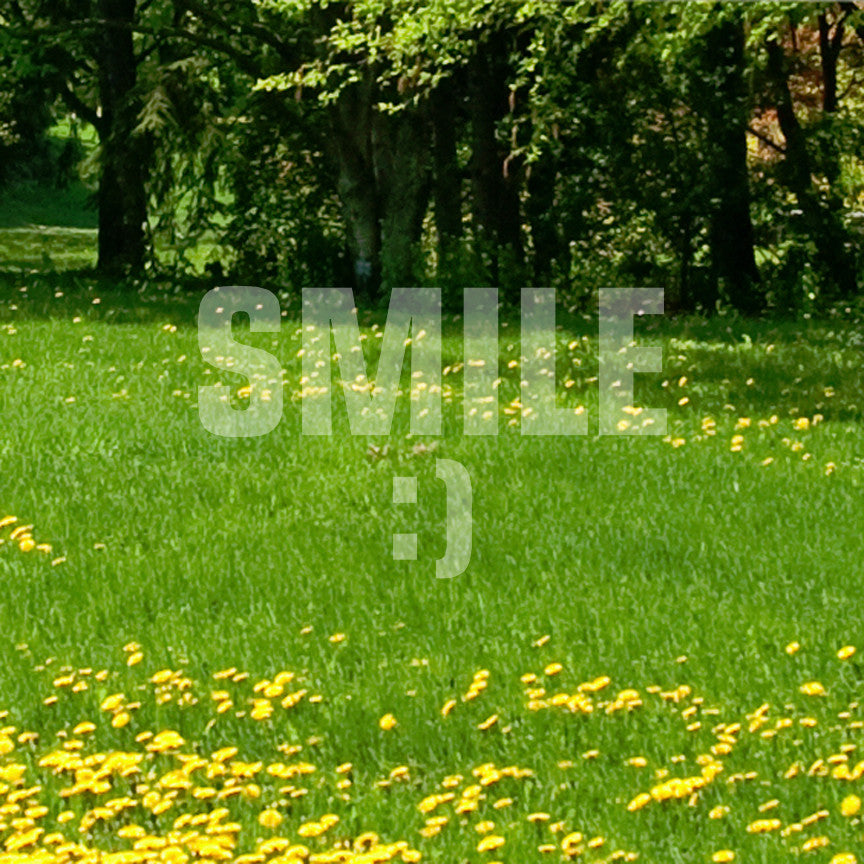 Smile Happy Face
