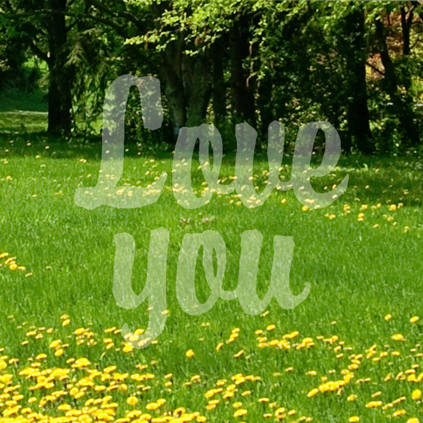 Love You