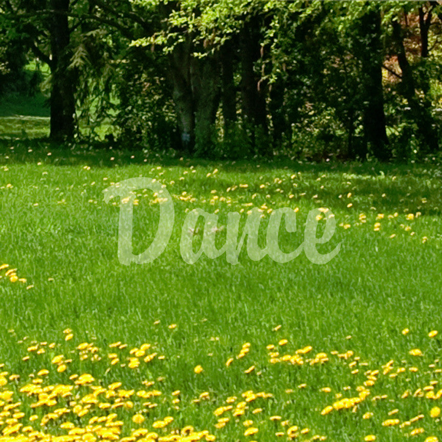 Dance