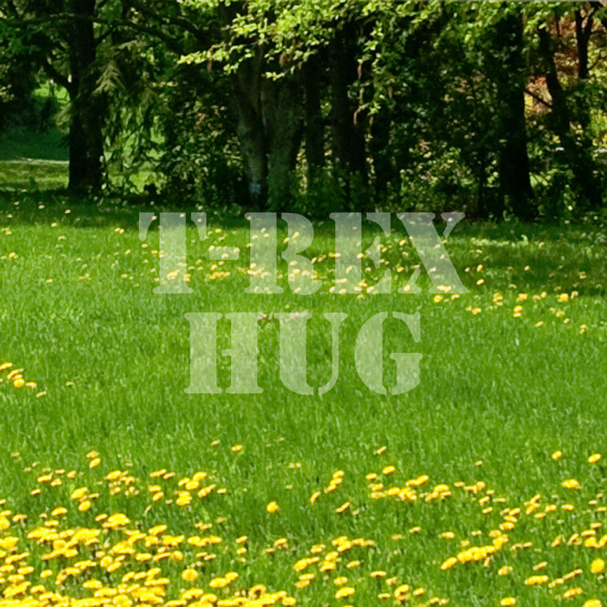 Trex Hug