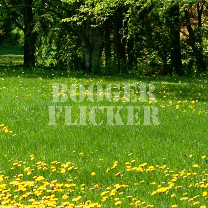Booger Flicker