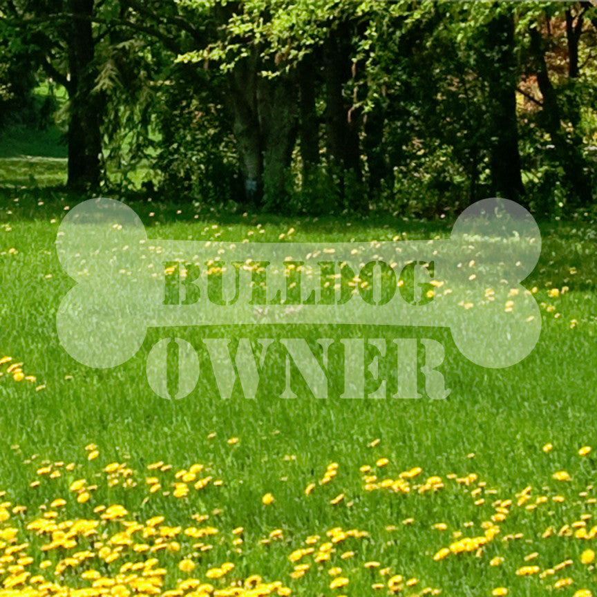 Bulldog Dog Owner Bone
