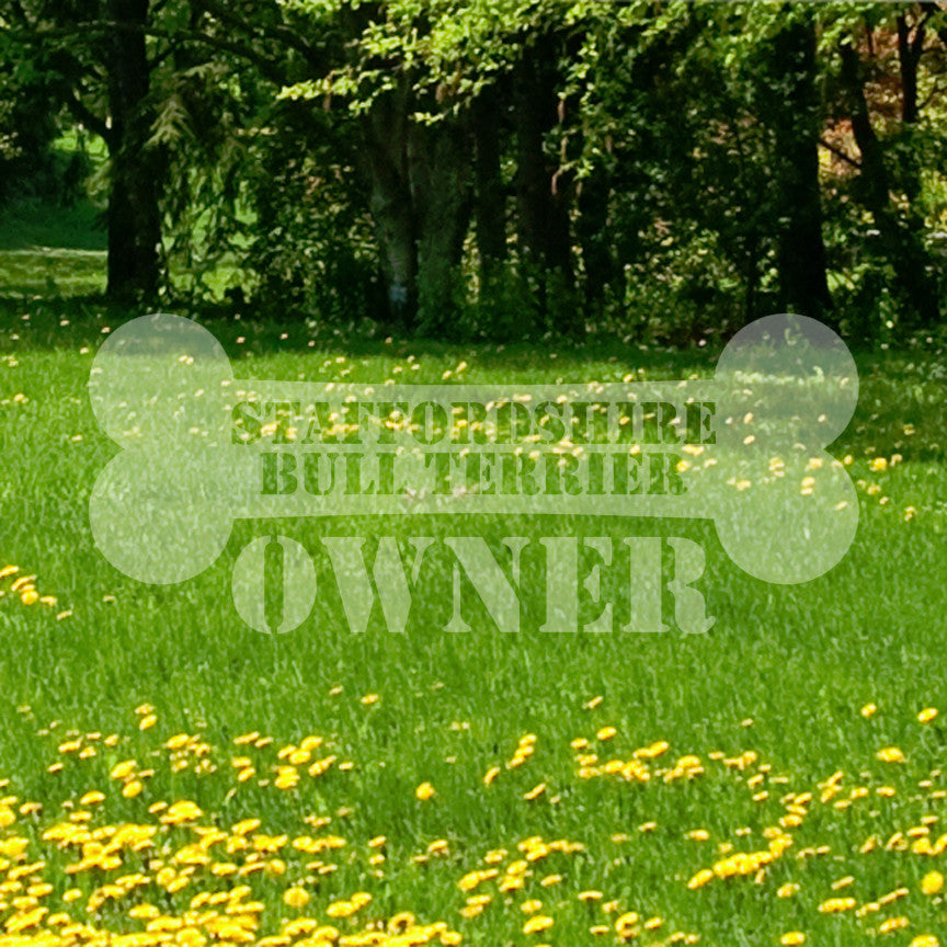 Staffordshire Bull Terrier Dog Owner Bon
