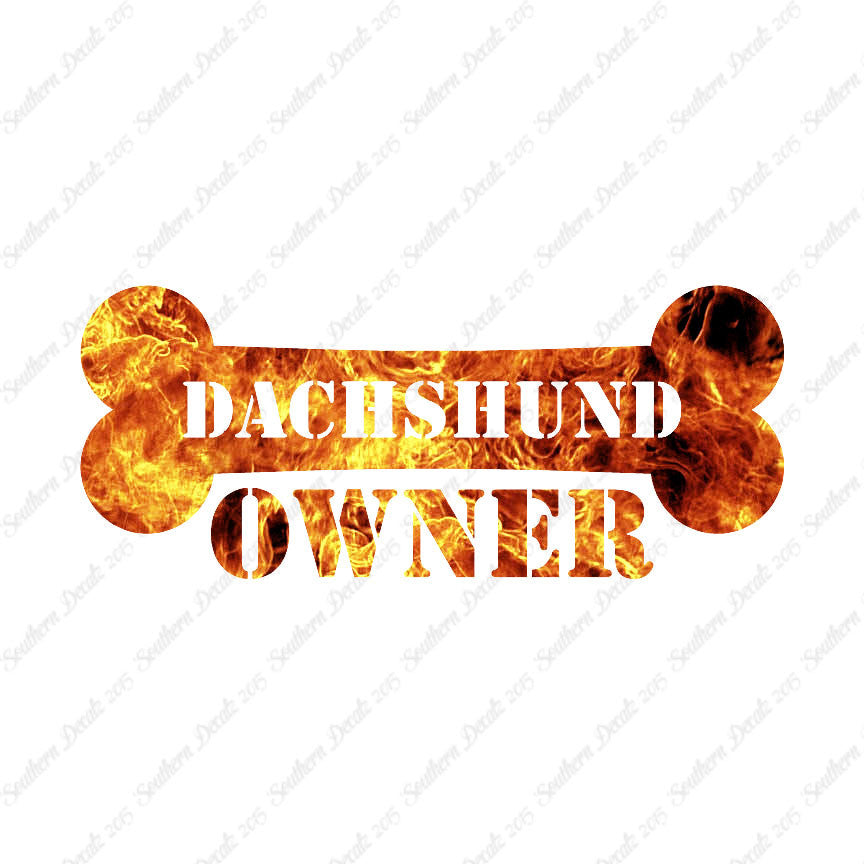Dachshund Dog Owner Bone