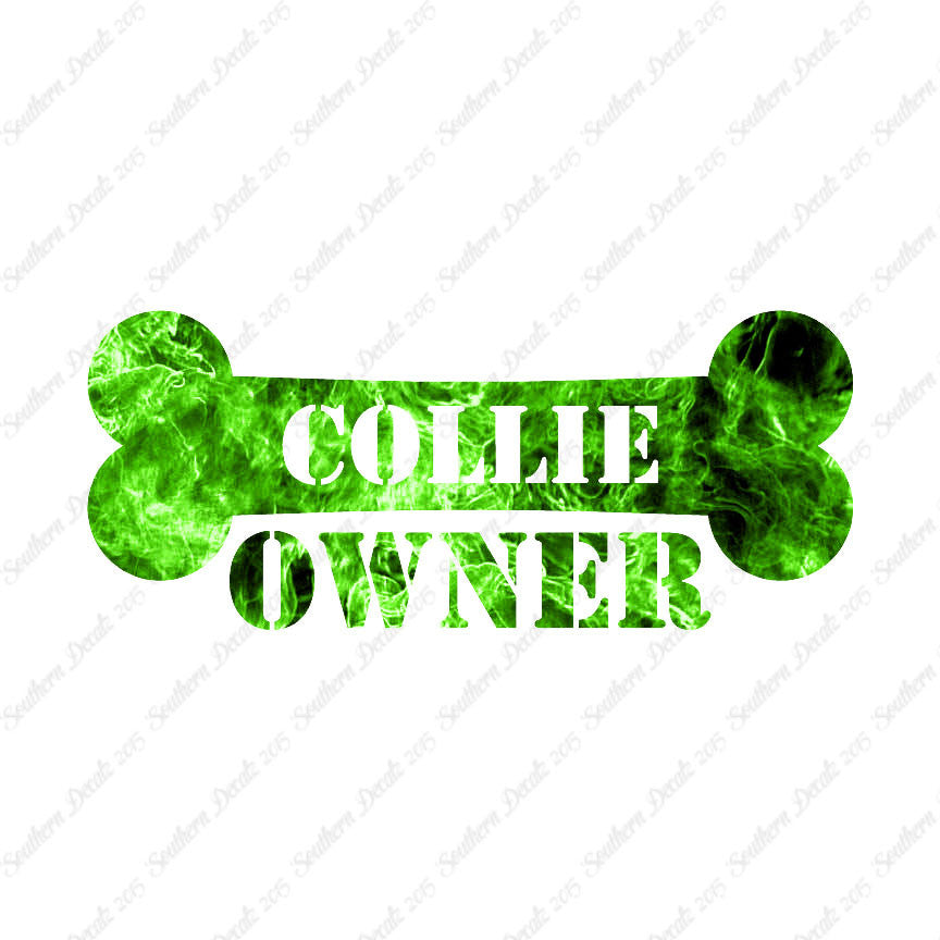 Collie Dog Owner Bone