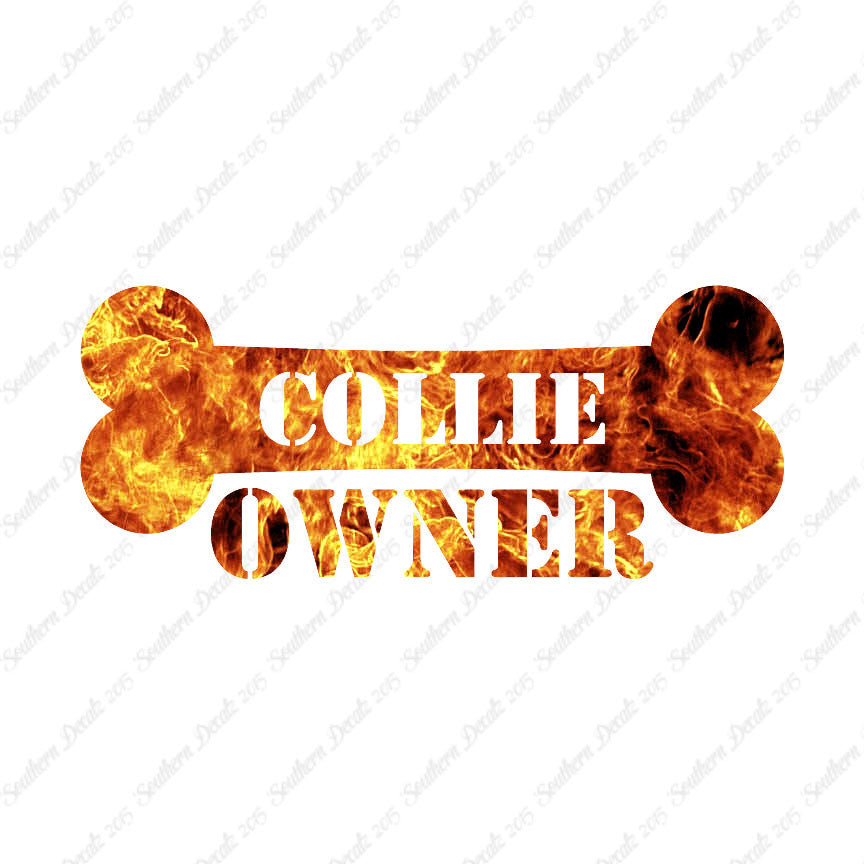 Collie Dog Owner Bone