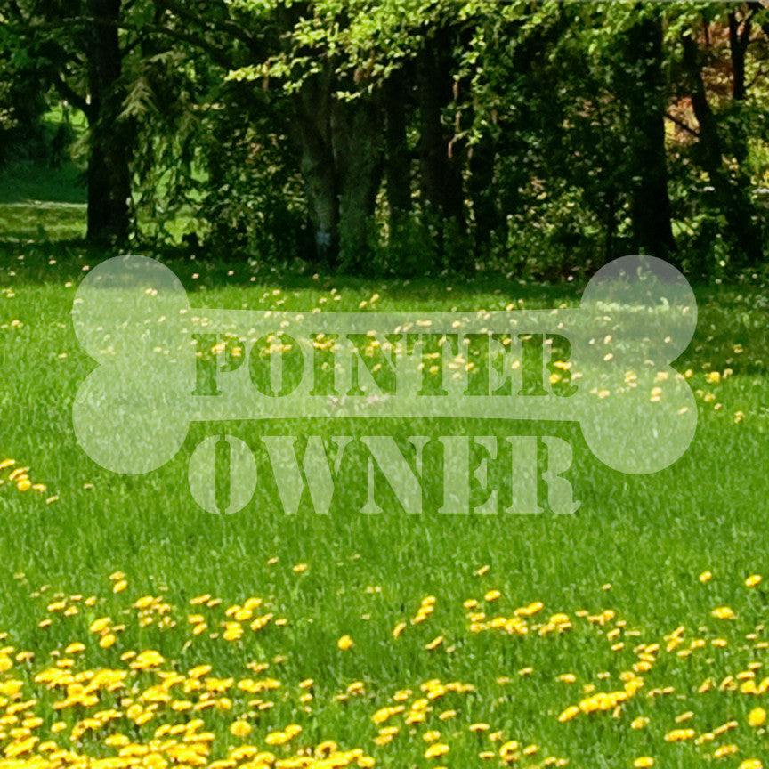 Pointer Dog Owner Bone