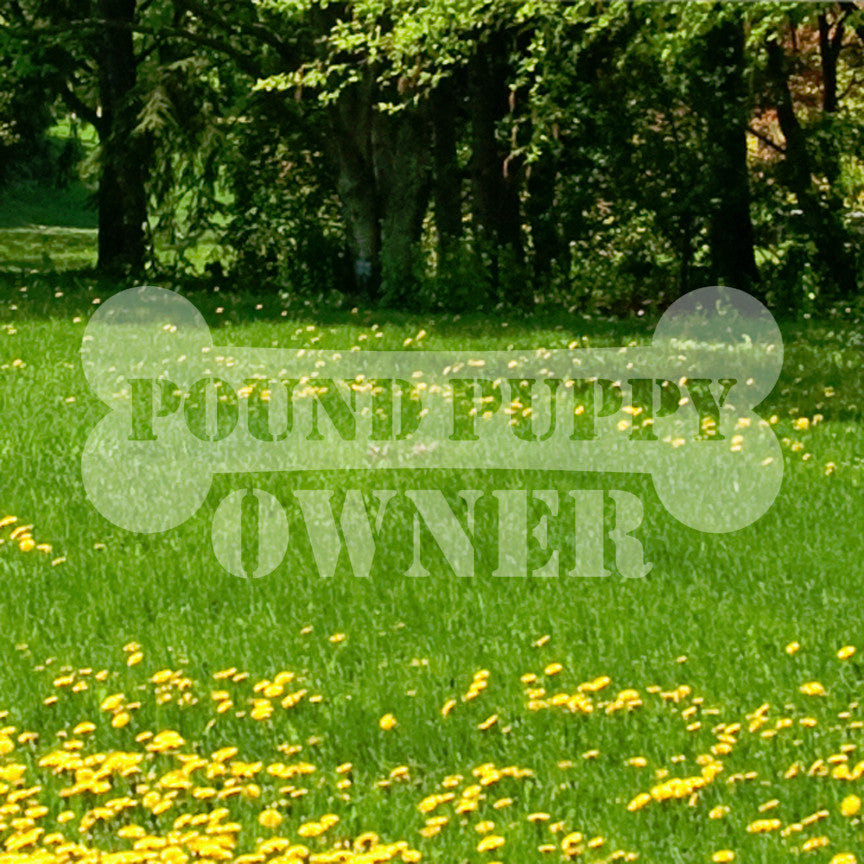 Pound Puppy Dog Owner Bone