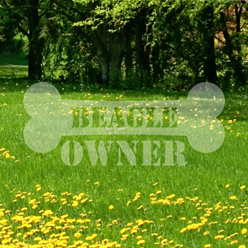 Beagle Dog Owner Bone