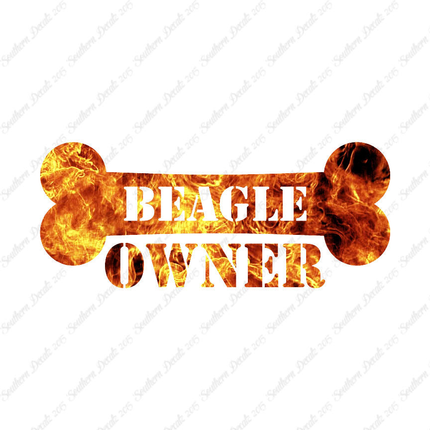 Beagle Dog Owner Bone