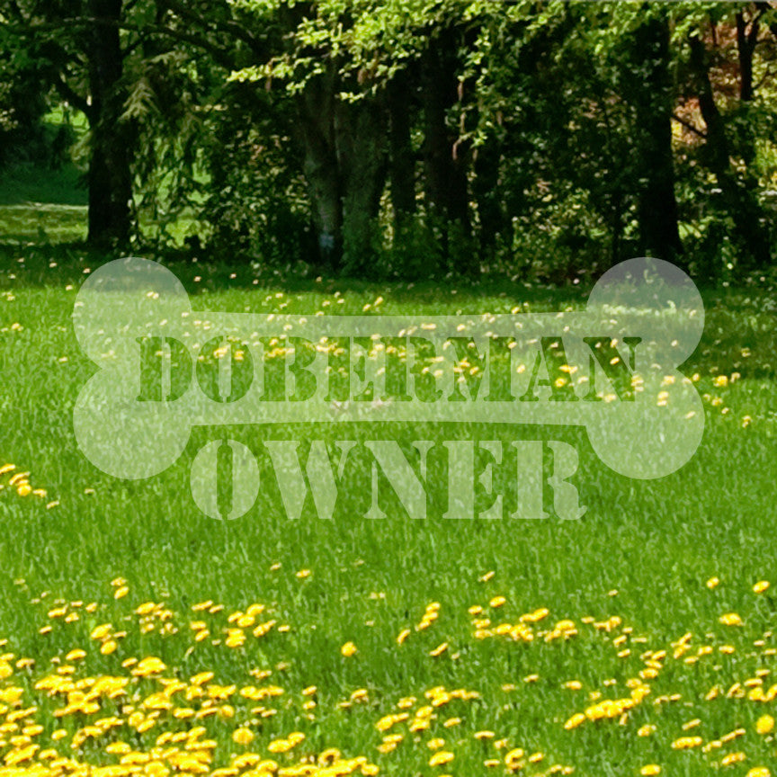 Doberman Dog Owner Bone