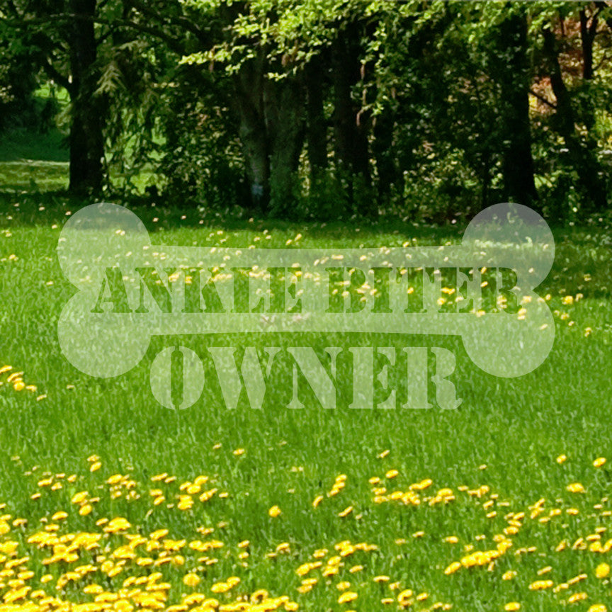 Ankle Biter Dog Owner Bone