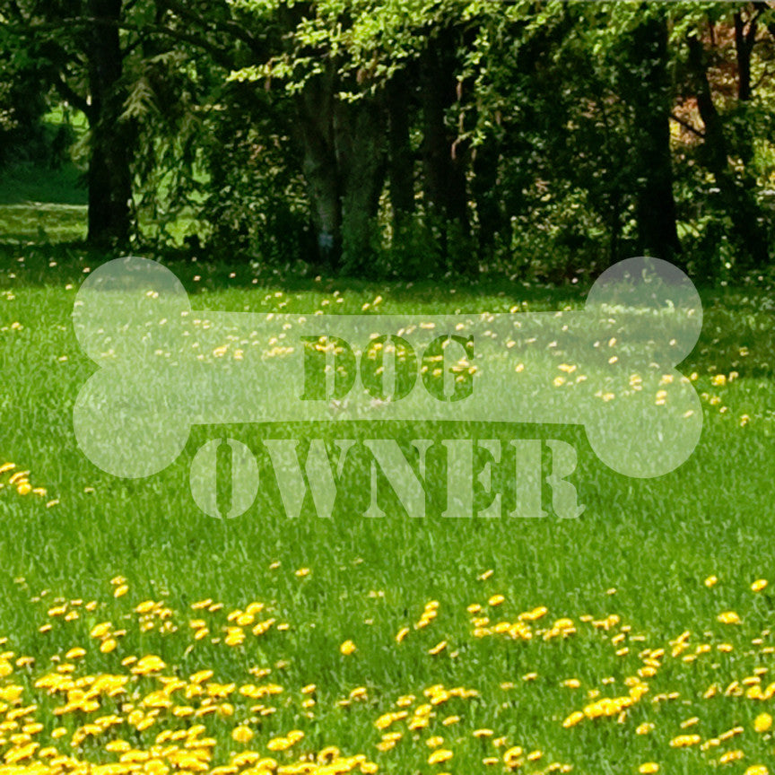 Dog Owner Bone