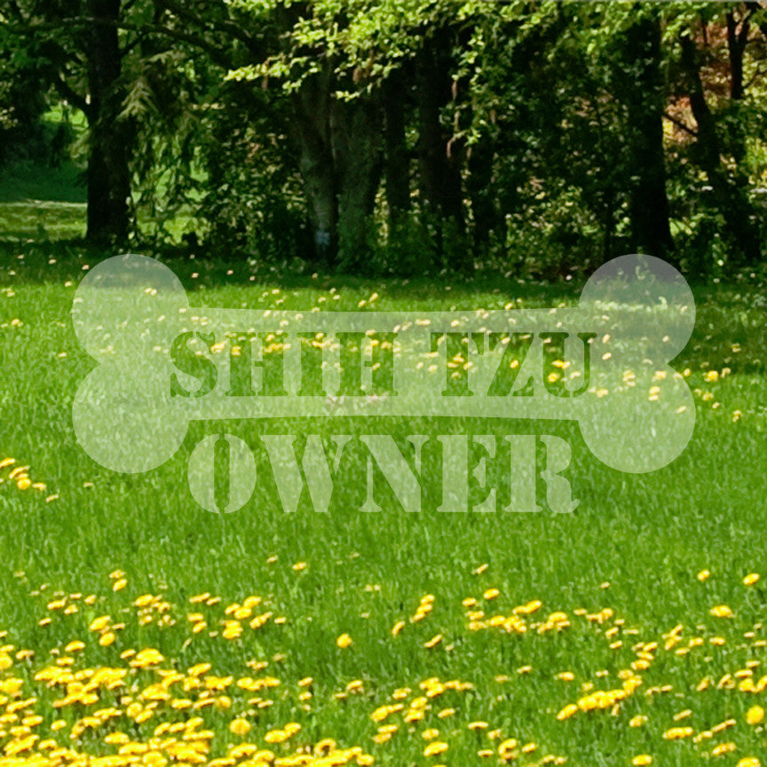 Shih Tzu Dog Owner Bone