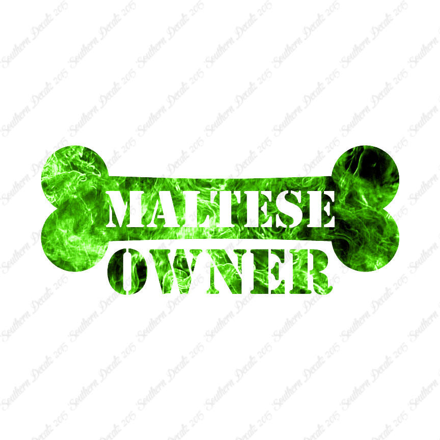 Maltese Dog Owner Bone