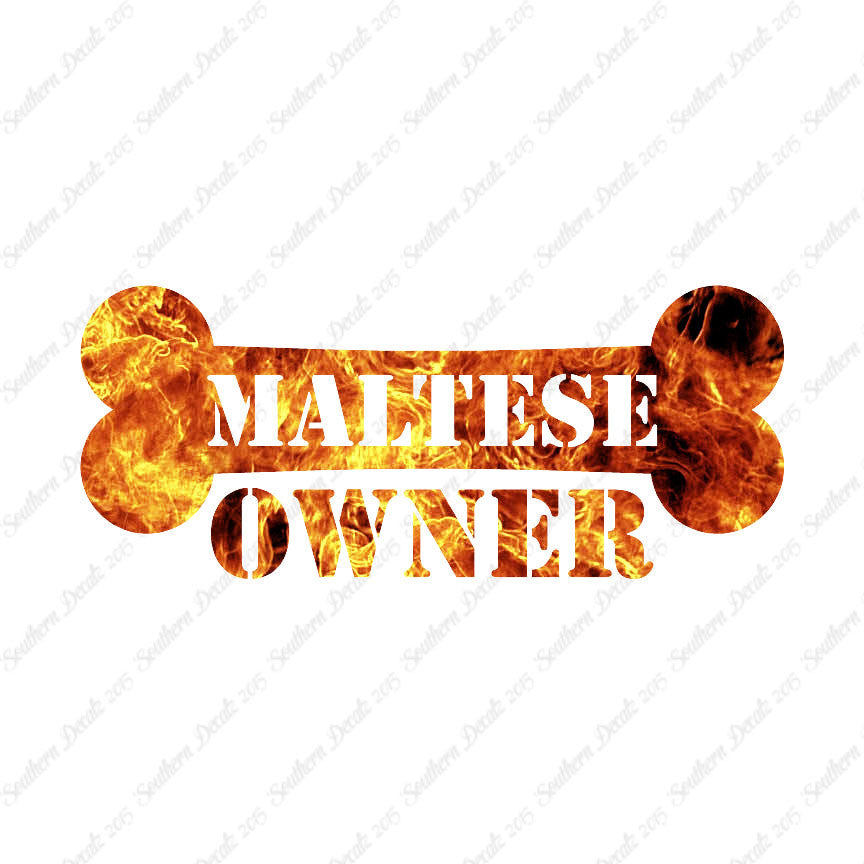 Maltese Dog Owner Bone