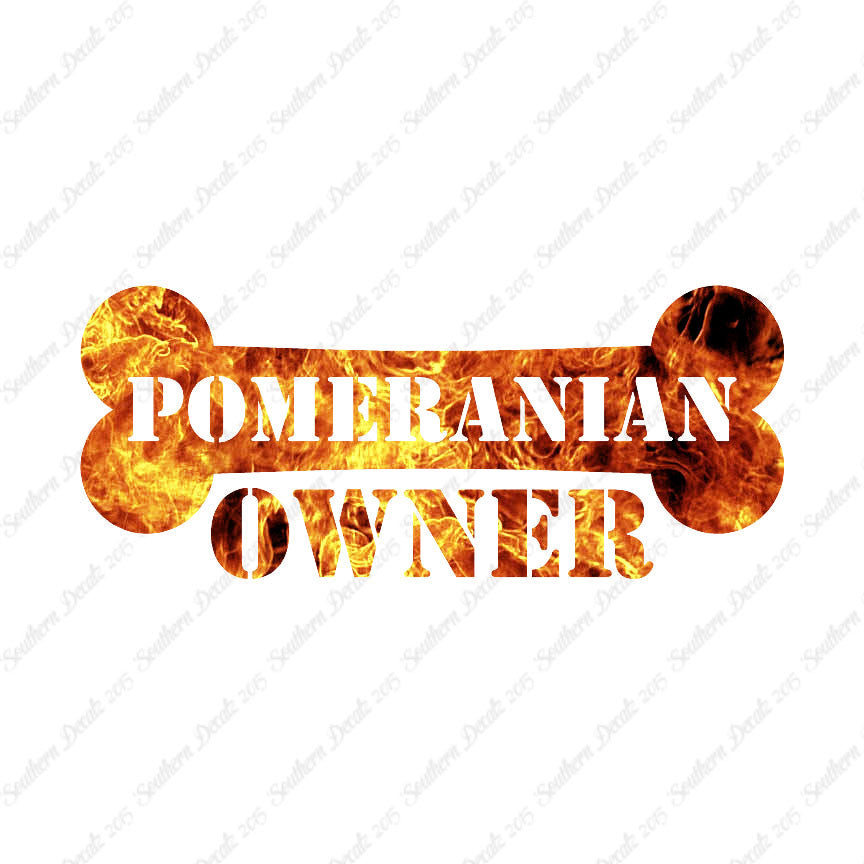 Pomeranian Dog Owner Bone