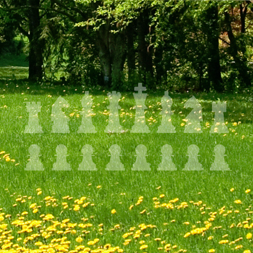 16 Chess Set