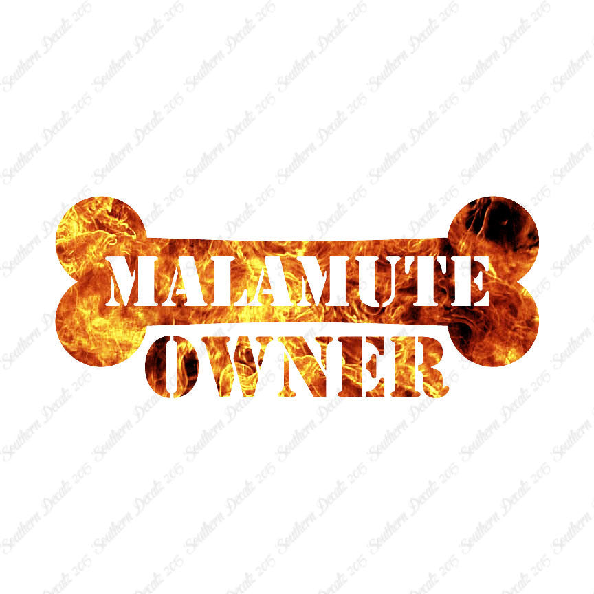 Malamute Dog Owner Bone