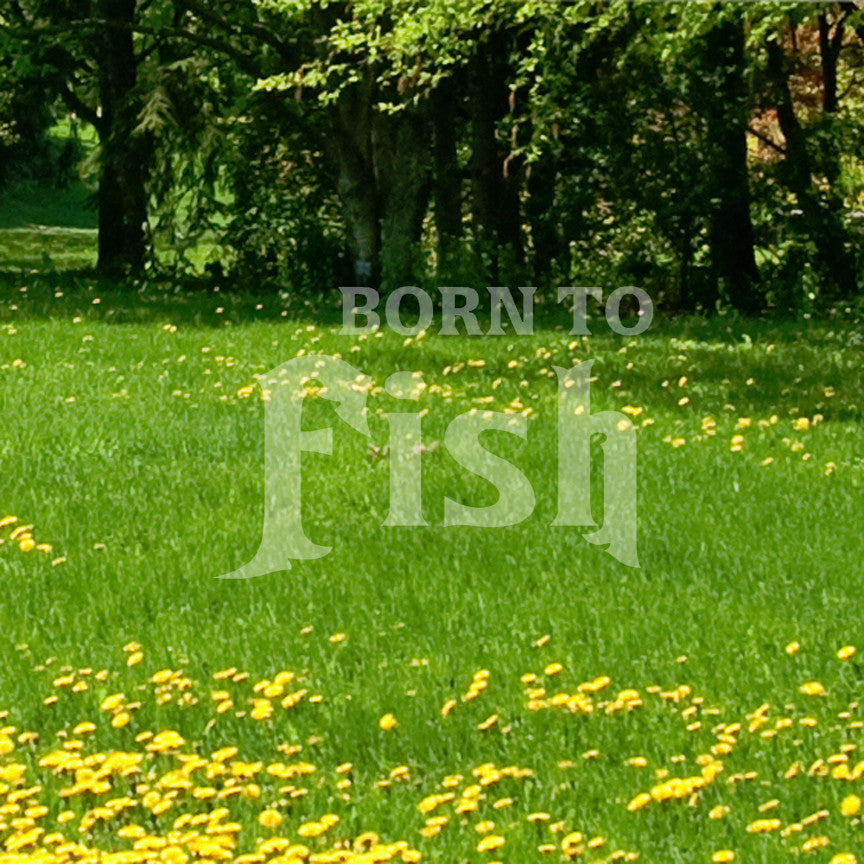 Born To Fish