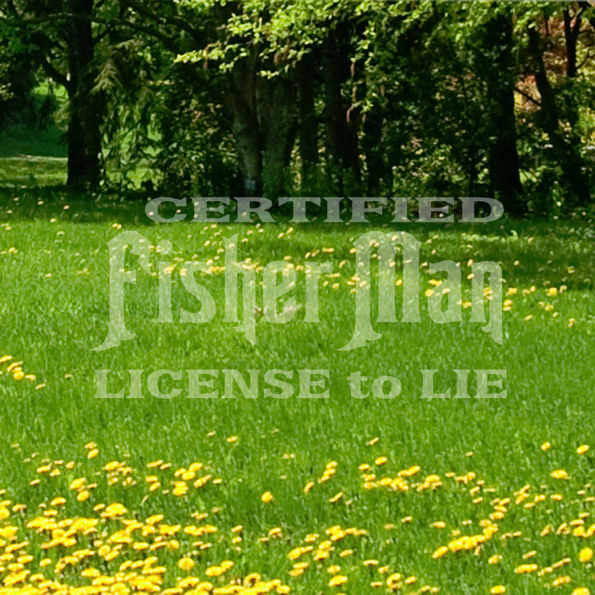 Fisher Man License To Lie