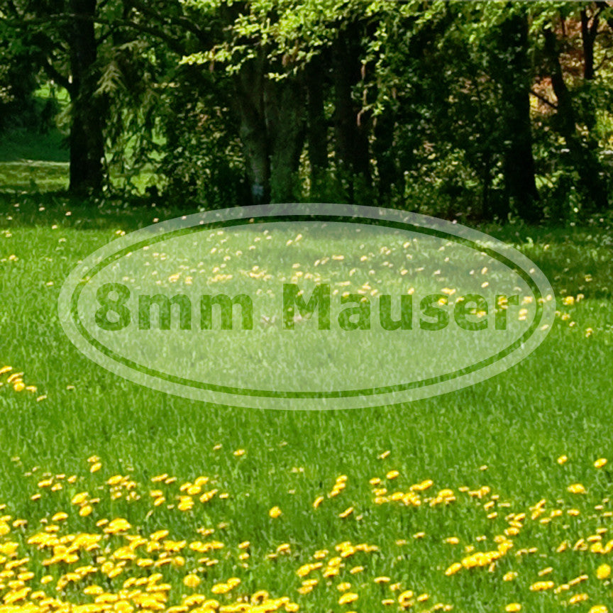 Ammo 8mm Mauser