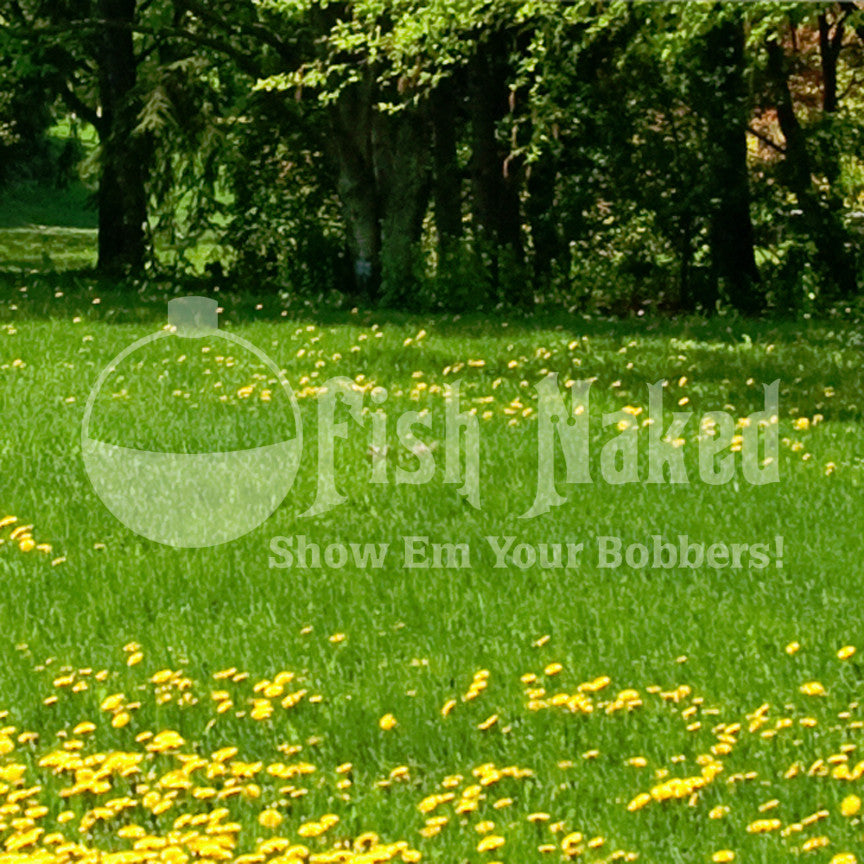 Fish Naked Bobbers