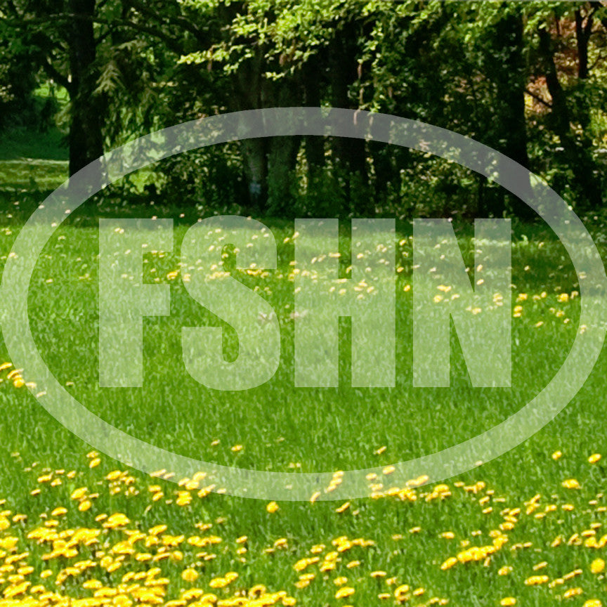 FSHN