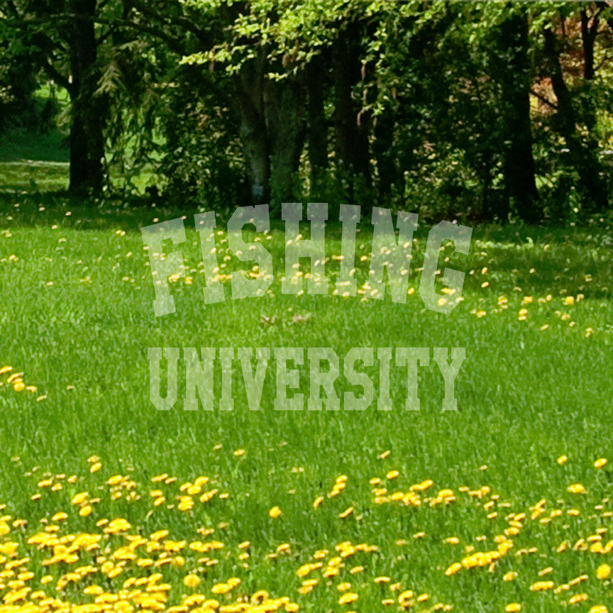 Fishing University