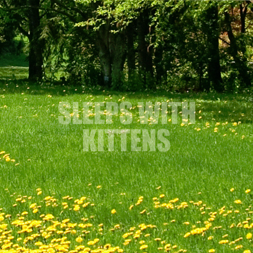 Sleeps With Kittens