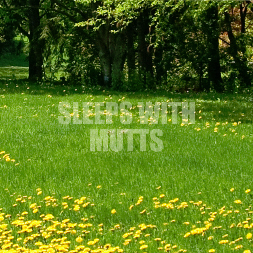 Sleeps With Mutts