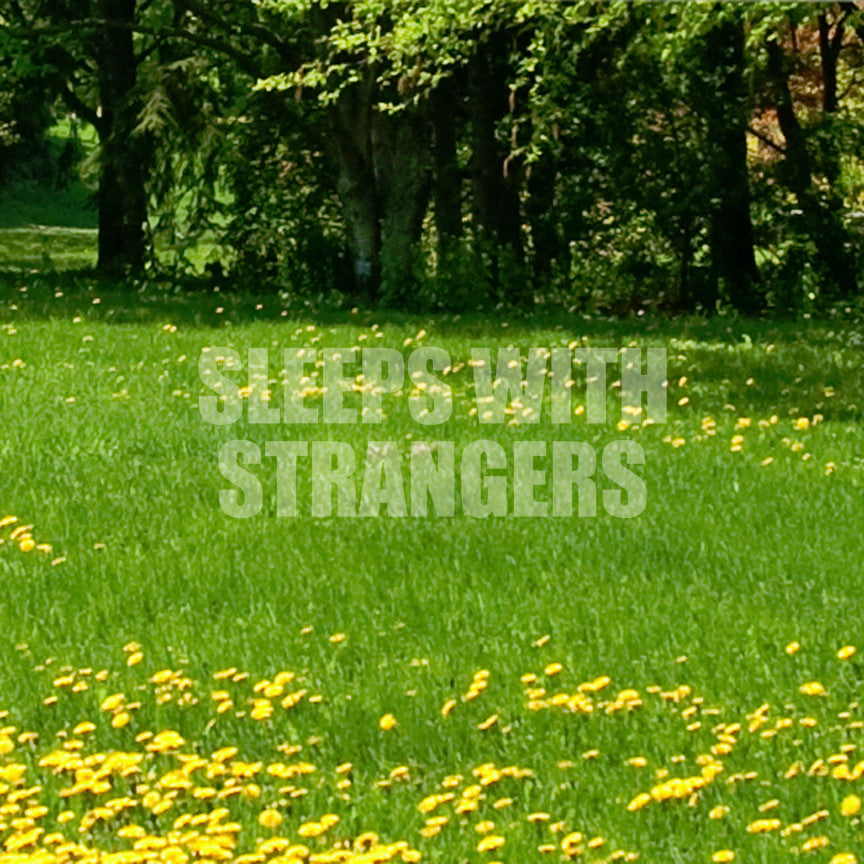 Sleeps With Strangers