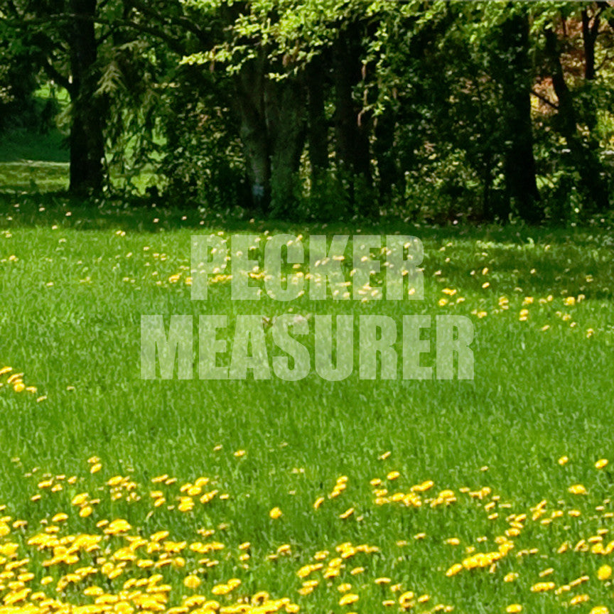 Pecker Measurer